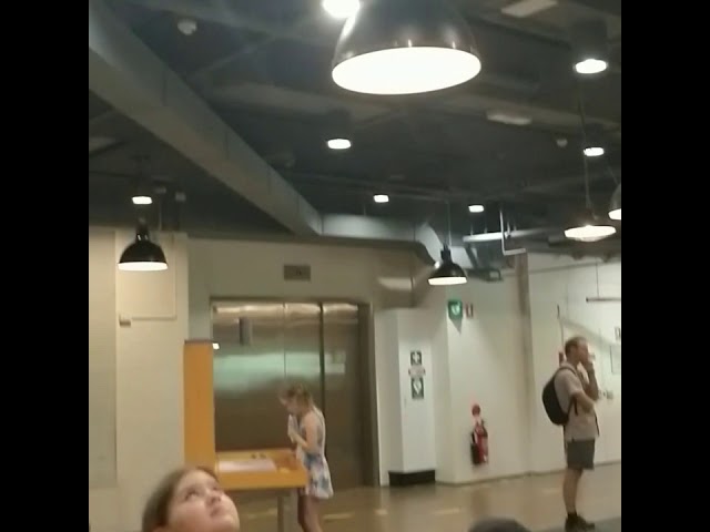 Lily at questacon